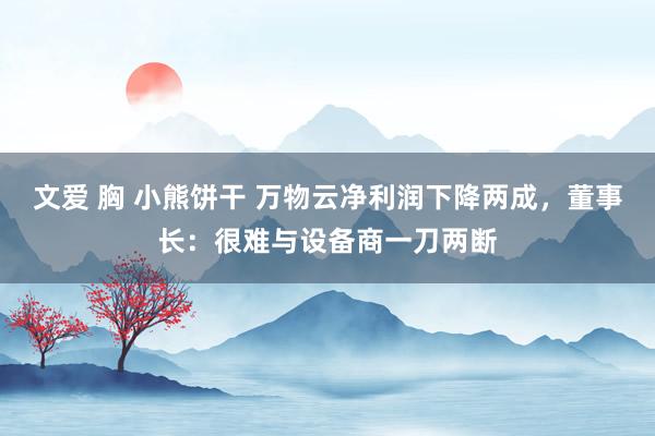 文爱 胸 小熊饼干 万物云净利润下降两成，董事长：很难与设备商一刀两断