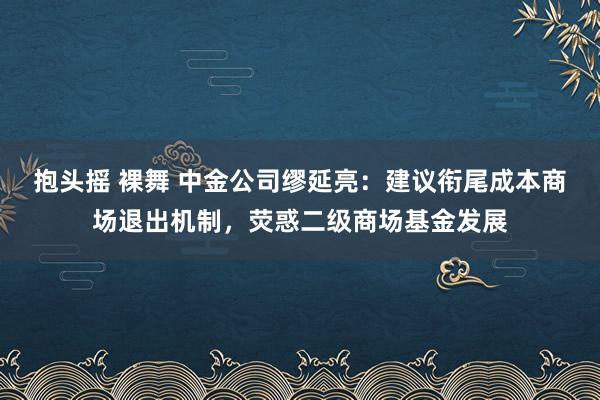 抱头摇 裸舞 中金公司缪延亮：建议衔尾成本商场退出机制，荧惑二级商场基金发展