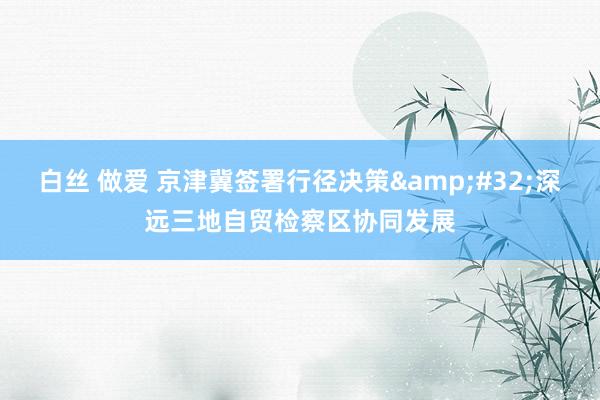 白丝 做爱 京津冀签署行径决策&#32;深远三地自贸检察区协同发展