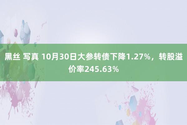 黑丝 写真 10月30日大参转债下降1.27%，转股溢价率245.63%