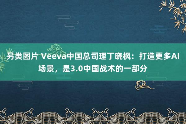 另类图片 Veeva中国总司理丁晓枫：打造更多AI场景，是3.0中国战术的一部分