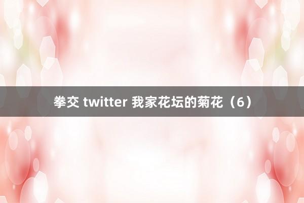 拳交 twitter 我家花坛的菊花（6）