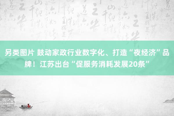 另类图片 鼓动家政行业数字化、打造“夜经济”品牌！江苏出台“促服务消耗发展20条”