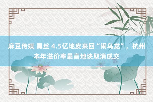 麻豆传媒 黑丝 4.5亿地皮来回“闹乌龙”，杭州本年溢价率最高地块取消成交