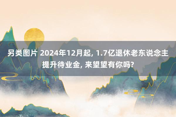 另类图片 2024年12月起, 1.7亿退休老东说念主提升待业金, 来望望有你吗?