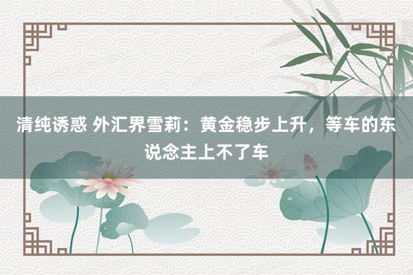 清纯诱惑 外汇界雪莉：黄金稳步上升，等车的东说念主上不了车