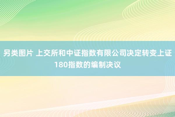 另类图片 上交所和中证指数有限公司决定转变上证180指数的编制决议