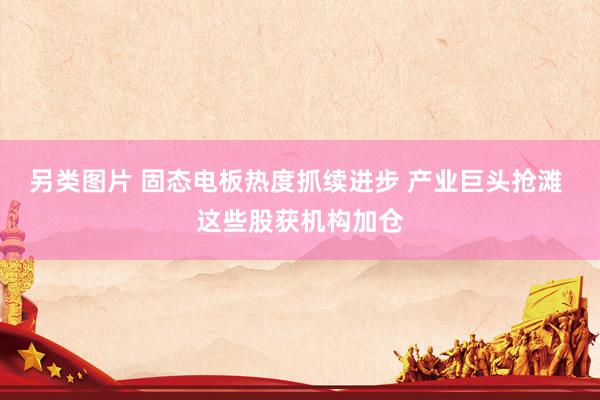 另类图片 固态电板热度抓续进步 产业巨头抢滩 这些股获机构加仓