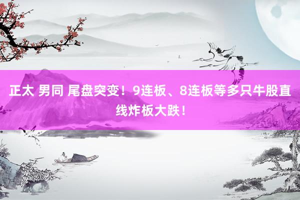 正太 男同 尾盘突变！9连板、8连板等多只牛股直线炸板大跌！