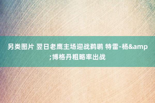 另类图片 翌日老鹰主场迎战鹈鹕 特雷-杨&博格丹粗略率出战