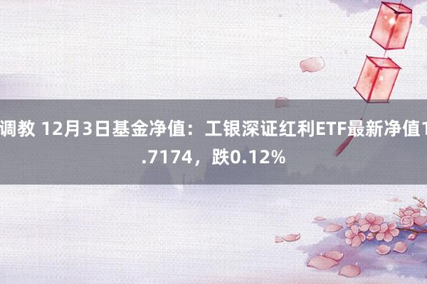 调教 12月3日基金净值：工银深证红利ETF最新净值1.7174，跌0.12%