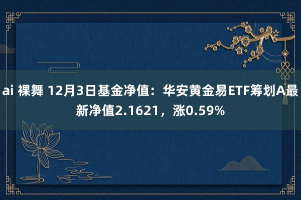 ai 裸舞 12月3日基金净值：华安黄金易ETF筹划A最新净值2.1621，涨0.59%