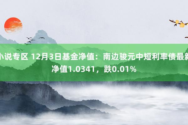 小说专区 12月3日基金净值：南边骏元中短利率债最新净值1.0341，跌0.01%