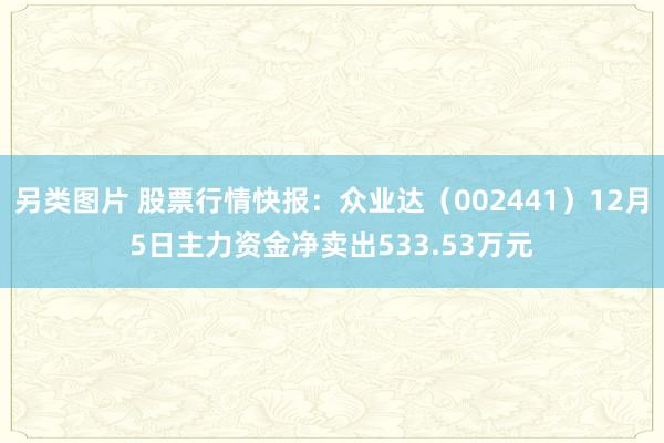 另类图片 股票行情快报：众业达（002441）12月5日主力资金净卖出533.53万元
