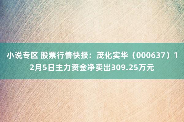 小说专区 股票行情快报：茂化实华（000637）12月5日主力资金净卖出309.25万元