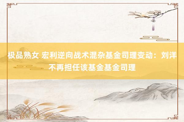 极品熟女 宏利逆向战术混杂基金司理变动：刘洋不再担任该基金基金司理