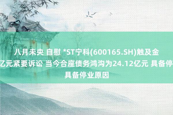 八月未央 自慰 *ST宁科(600165.SH)触及金额超5亿元紧要诉讼 当今合座债务鸿沟为24.12亿元 具备停业原因