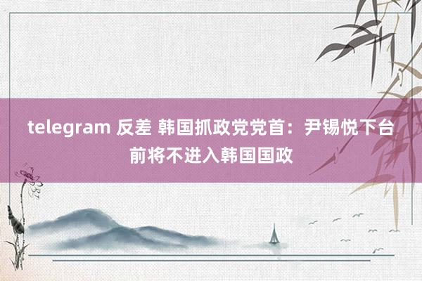 telegram 反差 韩国抓政党党首：尹锡悦下台前将不进入韩国国政