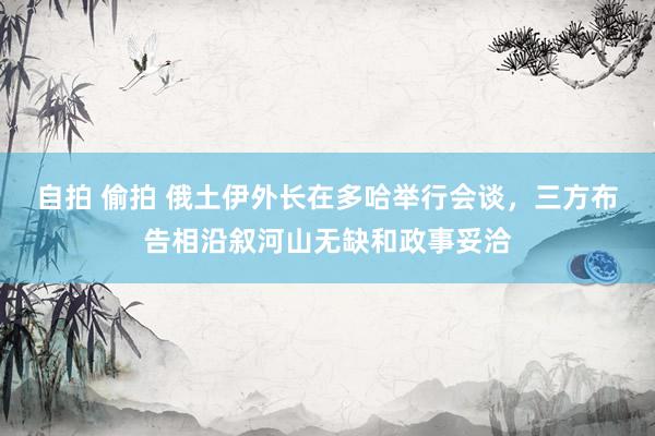 自拍 偷拍 俄土伊外长在多哈举行会谈，三方布告相沿叙河山无缺和政事妥洽