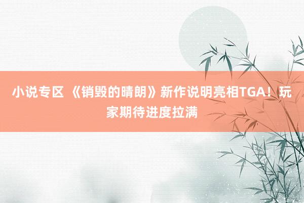 小说专区 《销毁的晴朗》新作说明亮相TGA！玩家期待进度拉满