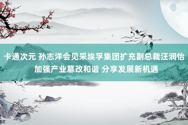 卡通次元 孙志洋会见采埃孚集团扩充副总裁汪润怡  加强产业篡改和谐 分享发展新机遇