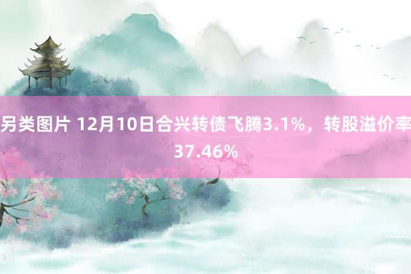 另类图片 12月10日合兴转债飞腾3.1%，转股溢价率37.46%