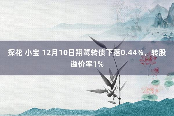 探花 小宝 12月10日翔鹭转债下落0.44%，转股溢价率1%