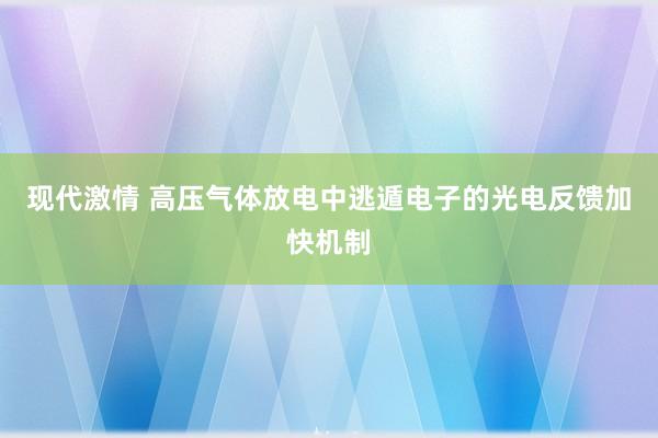 现代激情 高压气体放电中逃遁电子的光电反馈加快机制