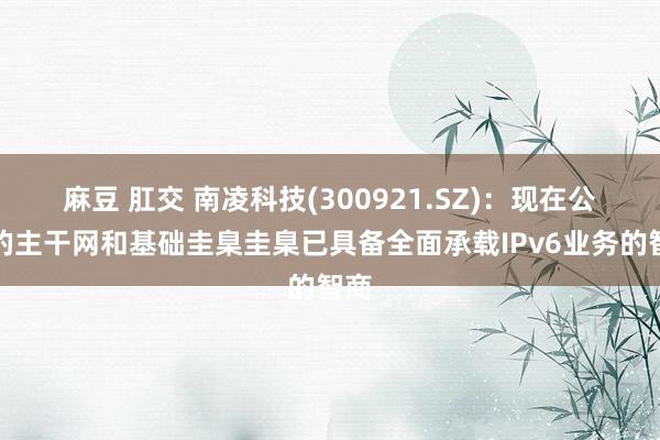 麻豆 肛交 南凌科技(300921.SZ)：现在公司的主干网和基础圭臬圭臬已具备全面承载IPv6业务的智商