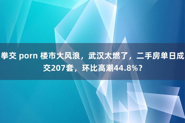 拳交 porn 楼市大风浪，武汉太燃了，二手房单日成交207套，环比高潮44.8%？