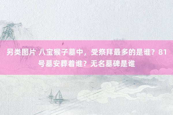 另类图片 八宝猴子墓中，受祭拜最多的是谁？81号墓安葬着谁？无名墓碑是谁