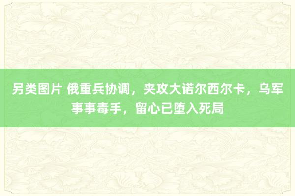 另类图片 俄重兵协调，夹攻大诺尔西尔卡，乌军事事毒手，留心已堕入死局