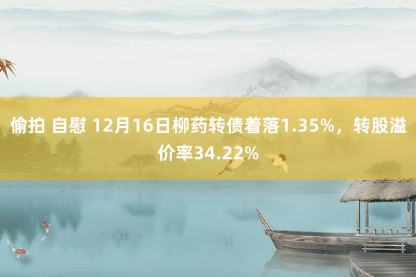 偷拍 自慰 12月16日柳药转债着落1.35%，转股溢价率34.22%
