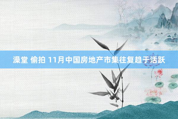 澡堂 偷拍 11月中国房地产市集往复趋于活跃
