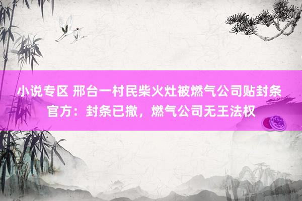 小说专区 邢台一村民柴火灶被燃气公司贴封条 官方：封条已撤，燃气公司无王法权