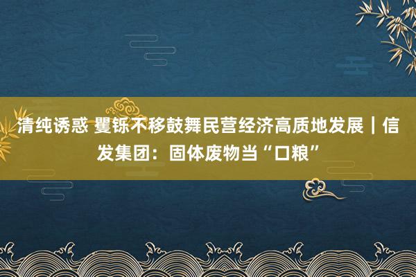清纯诱惑 矍铄不移鼓舞民营经济高质地发展｜信发集团：固体废物当“口粮”