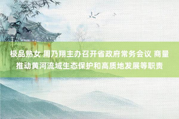 极品熟女 周乃翔主办召开省政府常务会议 商量推动黄河流域生态保护和高质地发展等职责
