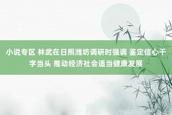 小说专区 林武在日照潍坊调研时强调 鉴定信心干字当头 推动经济社会适当健康发展