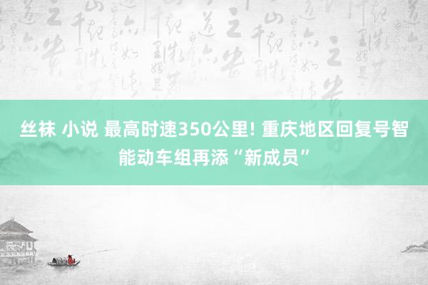丝袜 小说 最高时速350公里! 重庆地区回复号智能动车组再添“新成员”