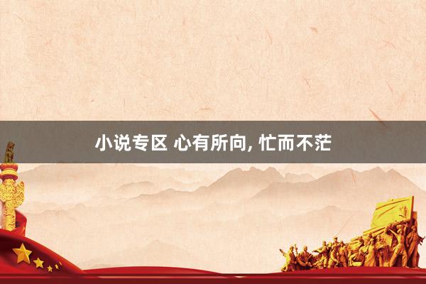 小说专区 心有所向, 忙而不茫