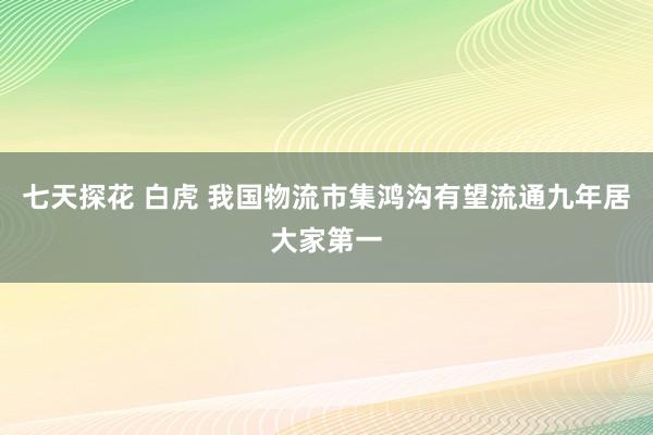 七天探花 白虎 我国物流市集鸿沟有望流通九年居大家第一
