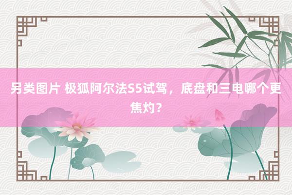 另类图片 极狐阿尔法S5试驾，底盘和三电哪个更焦灼？