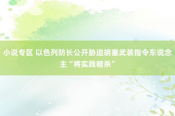 小说专区 以色列防长公开胁迫胡塞武装指令东说念主“将实践暗杀”