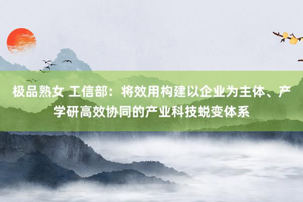 极品熟女 工信部：将效用构建以企业为主体、产学研高效协同的产业科技蜕变体系