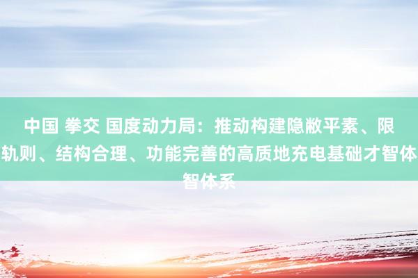 中国 拳交 国度动力局：推动构建隐敝平素、限度轨则、结构合理、功能完善的高质地充电基础才智体系