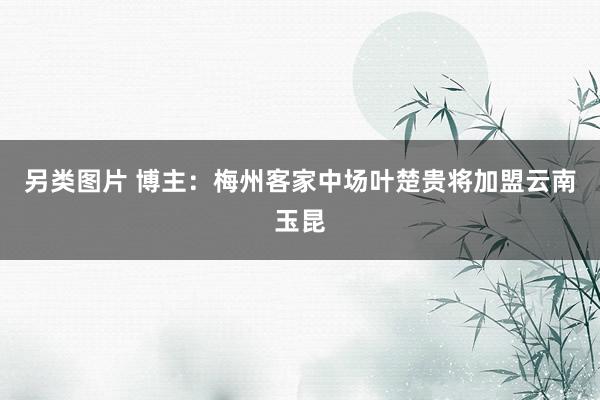另类图片 博主：梅州客家中场叶楚贵将加盟云南玉昆