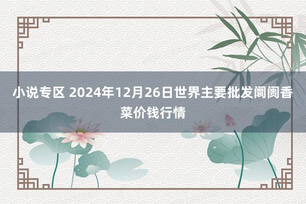 小说专区 2024年12月26日世界主要批发阛阓香菜价钱行情