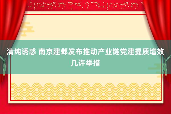 清纯诱惑 南京建邺发布推动产业链党建提质增效几许举措