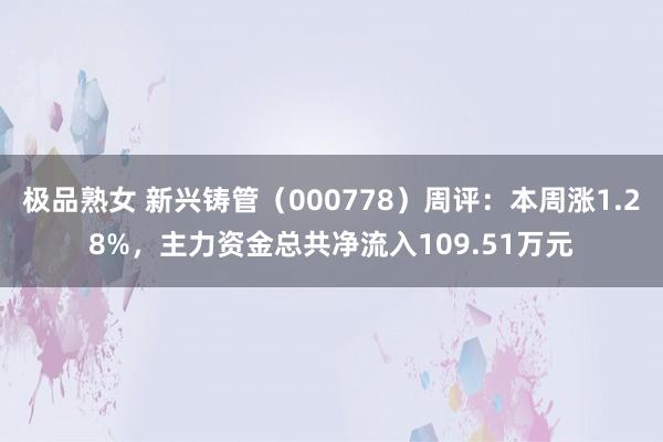 极品熟女 新兴铸管（000778）周评：本周涨1.28%，主力资金总共净流入109.51万元