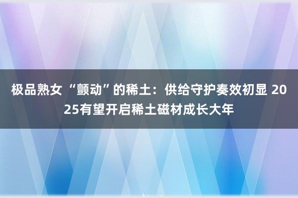 极品熟女 “颤动”的稀土：供给守护奏效初显 2025有望开启稀土磁材成长大年